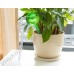 Контроллер для полива комнатных растений