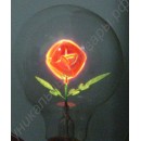 Лампа украшенная розой