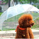 Зонт с поводком для собаки