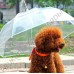 Зонт с поводком для собаки