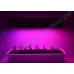 Мощная LED панель для культивирования растений в теплицах и гроу боксах «Вега», гарантийное обслуживание - 1 год