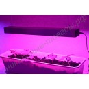 Обычная светодиодная лампа для растений «Сириус», гарантийное обслуживание - 1 год