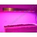 Обычная светодиодная лампа для растений «Сириус», гарантийное обслуживание - 1 год