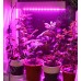 Мини фитосветильник для парников, досветки растений и выращивания рассады «Маркаб», гарантийное обслуживание - 1 год