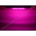 Настенно-потолочная полноспектровая светодиодная фитолампа 36Вт «Пропус», гарантийное обслуживание - 1 год