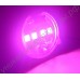 Мощный LED светильник для гроубоксов и теплиц "Хедус" 200 Вт, 24.000 lux, гарантийное обслуживание - 1 год