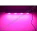 Тепличный LED светильник полного спектра "Тегмен" 200 - 1000 Вт