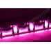 Мощный светодиодный светильник-фитопанель для гроубоксов, тепличек, зимних садов "Дубхе" 500Вт
